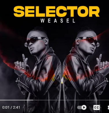 Radio And Weasel